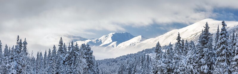 Snow-covered Pine Trees — White, Serene, Winter, Photograph, Mountains, Clouds, Forest