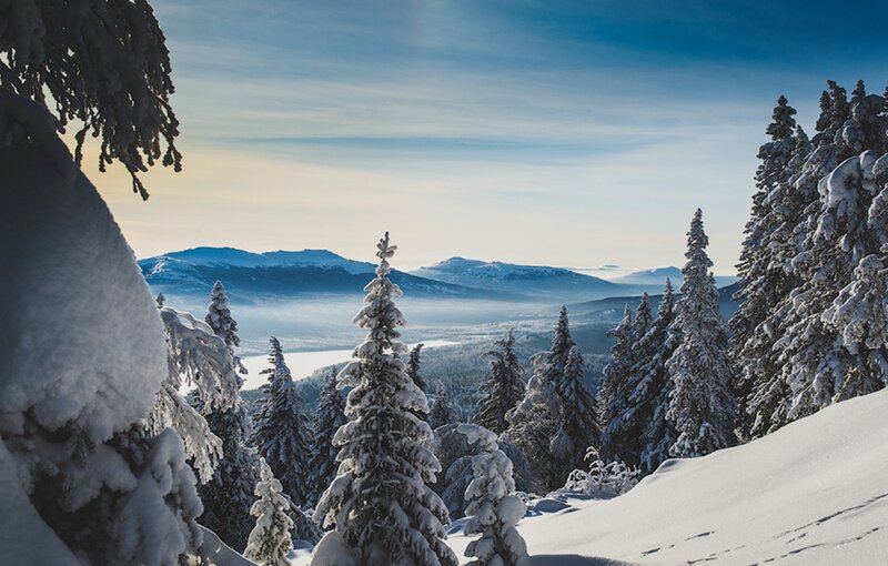 Snow-covered Pine Trees — White, Serene, Winter, Photograph, Mountains, Fog, Sky