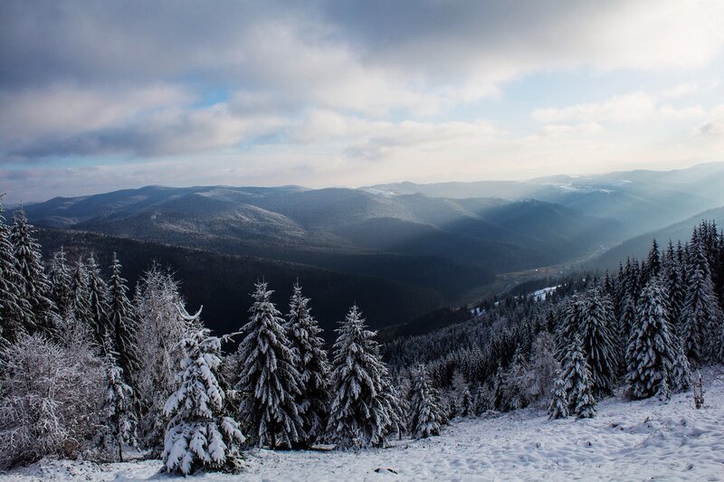Snow-covered Pine Trees — White, Serene, Winter, Photograph, Mountains, Forest, Clouds