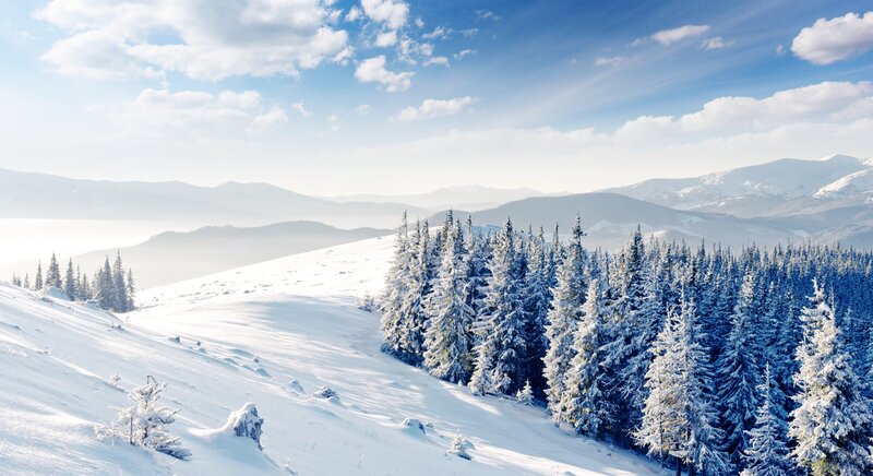 Snow-covered Pine Trees — White, Serene, Winter, Photograph, Mountains, Sky, Clouds