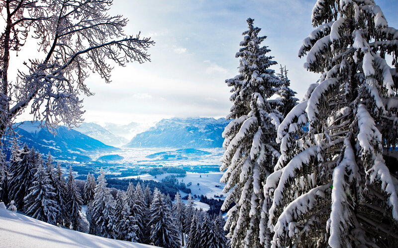 Snow-covered Pine Trees — White, Serene, Winter, Photograph, Mountains, Valley