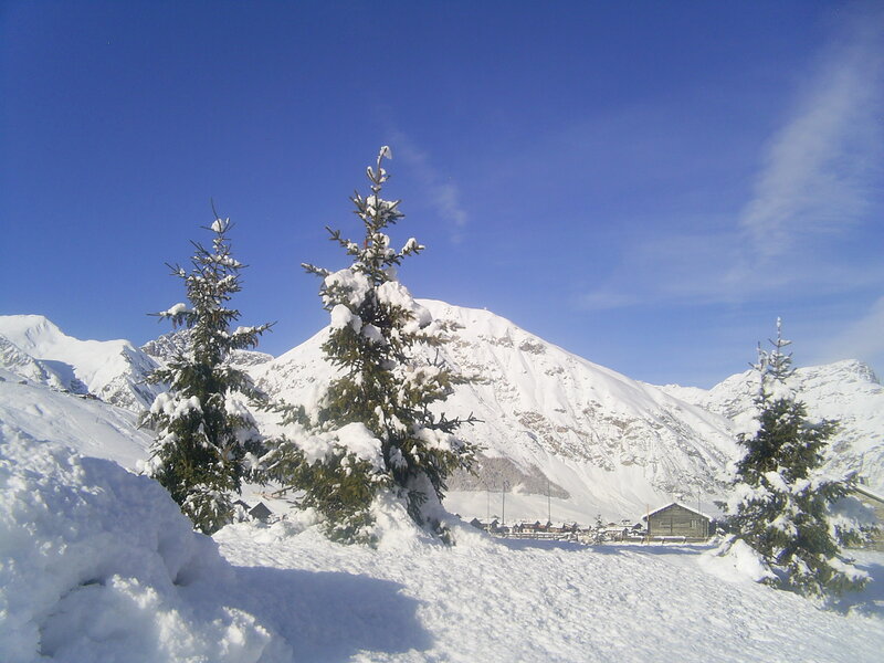 Snow-covered Pine Trees — White, Serene, Winter, Photograph, Mountains, Village