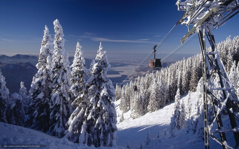Snow-covered Pine Trees — White, Serene, Winter, Photograph, Ski Lift, Mountain