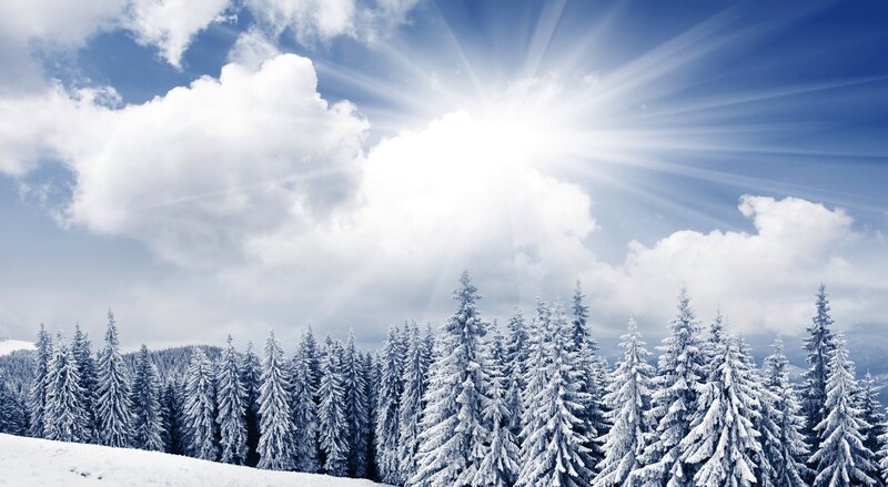 Snow-covered Pine Trees — White, Serene, Winter, Photograph, Sun, Clouds, Mountain