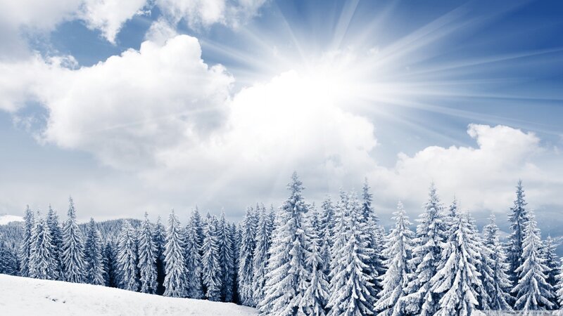Snow-covered Pine Trees — White, Serene, Winter, Photograph, Sun, Clouds, Mountains