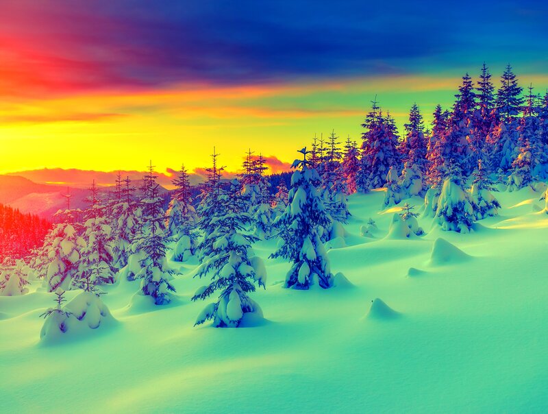 Snow-covered Pine Trees — Yellow, Dramatic, Sunset, Photograph