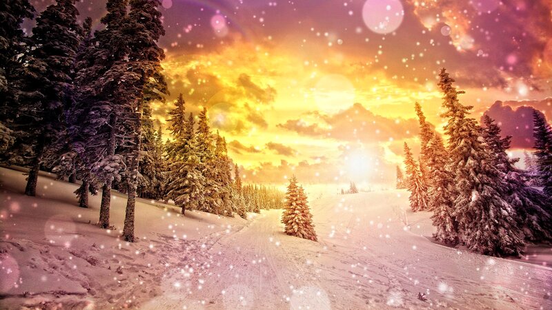 Snow-covered Pine Trees — Yellow, Dramatic, Sunset