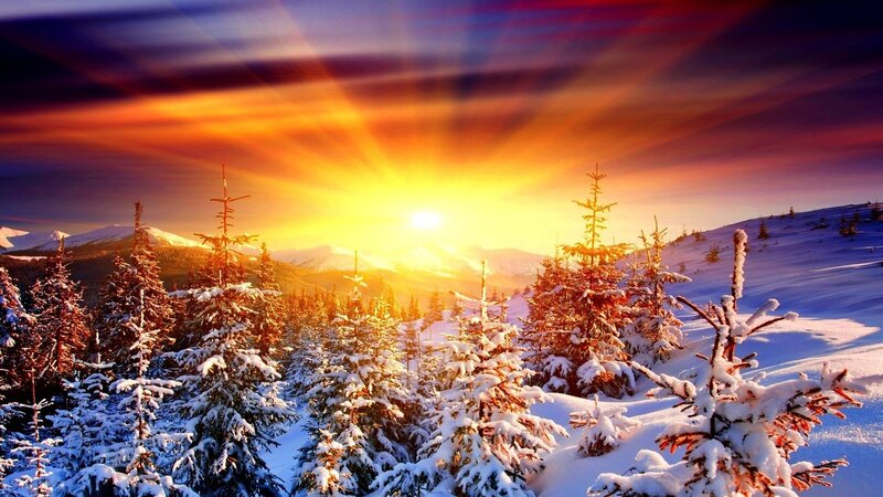 Snow-covered Pine Trees — Yellow, Dramatic, Winter, Photograph, Mountains, Sunrise