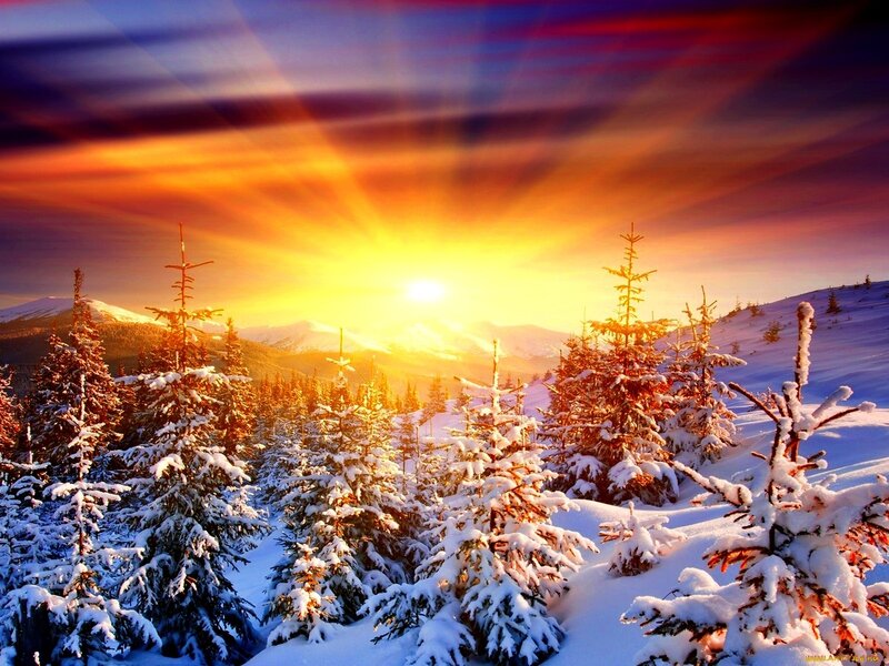 Snow-covered Pine Trees — Yellow, Dramatic, Winter, Photograph, Mountains