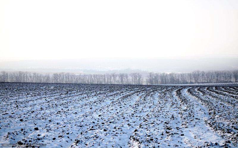Snow-covered plowed field