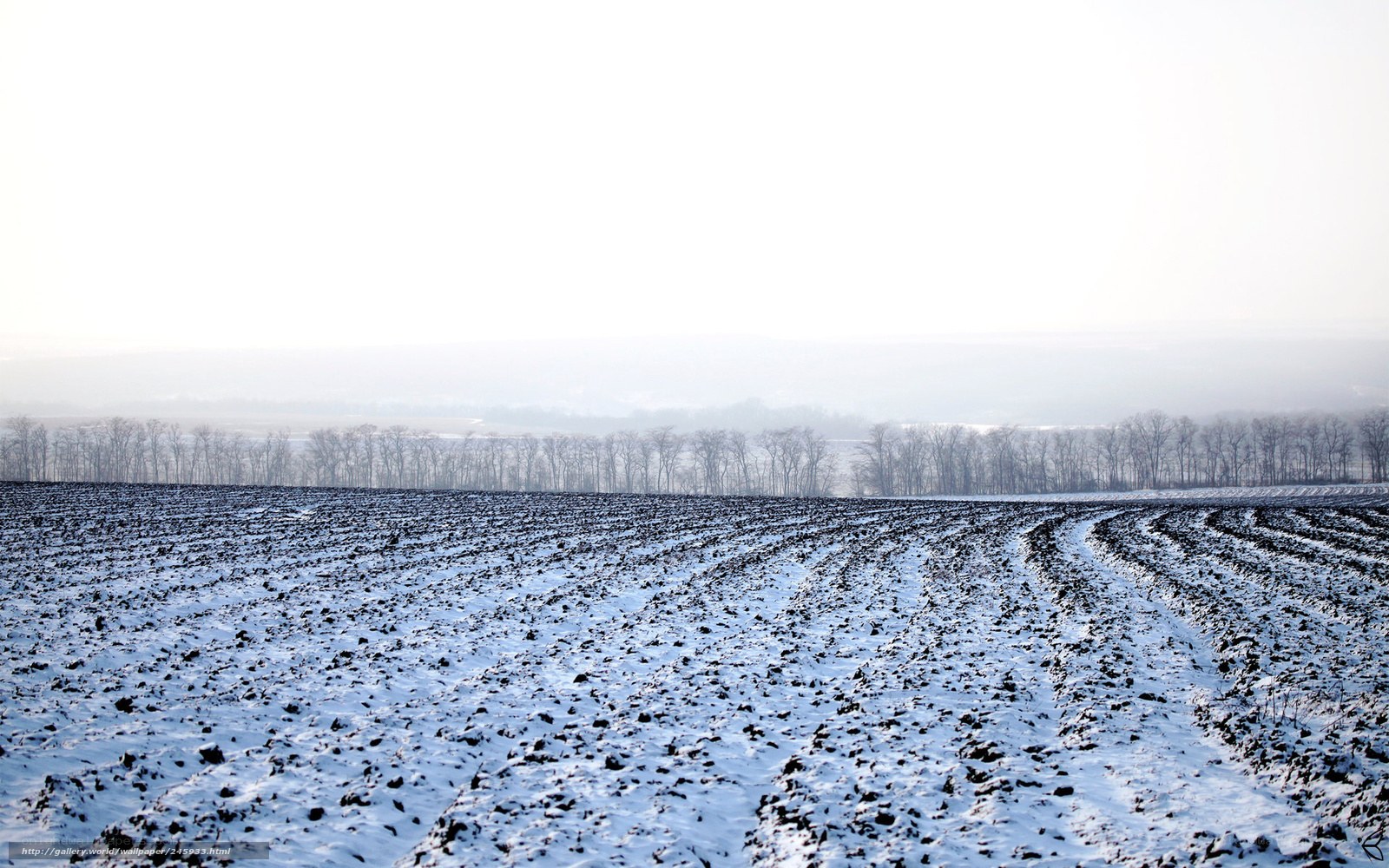 Snow-covered plowed field
