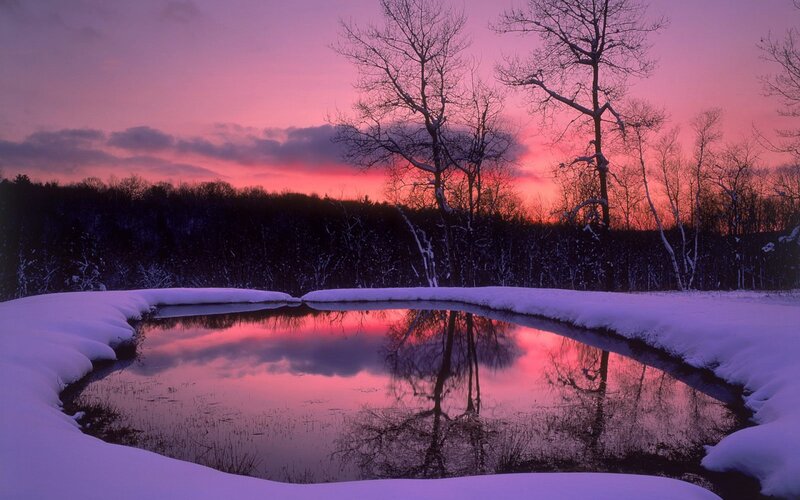 Snow-covered Pond at Sunset — Pink