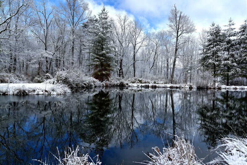 Snow-covered Pond — Blue