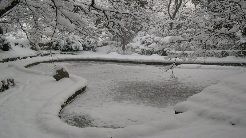 snow-covered pond in winter