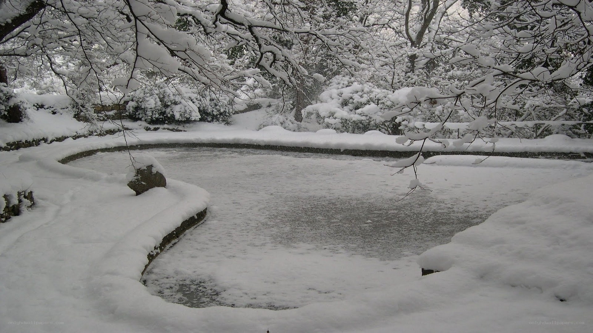 snow-covered pond in winter