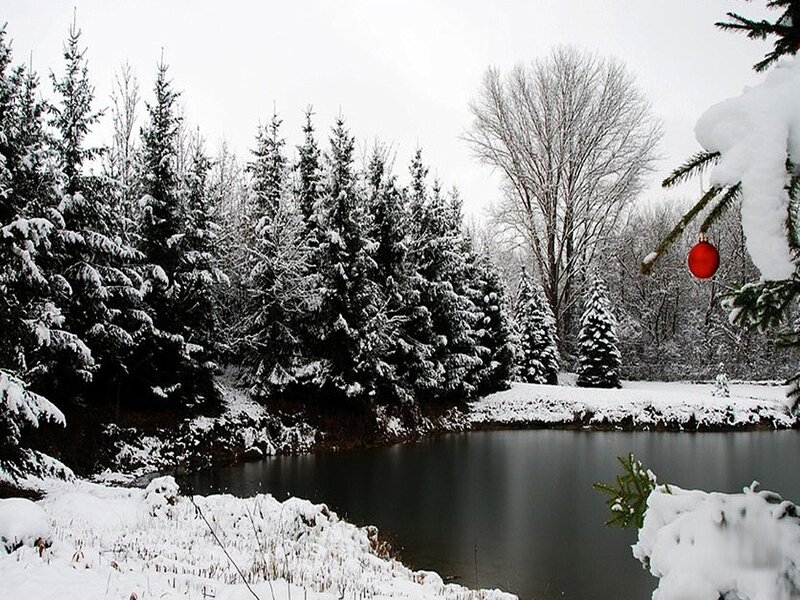 Snow-covered Pond