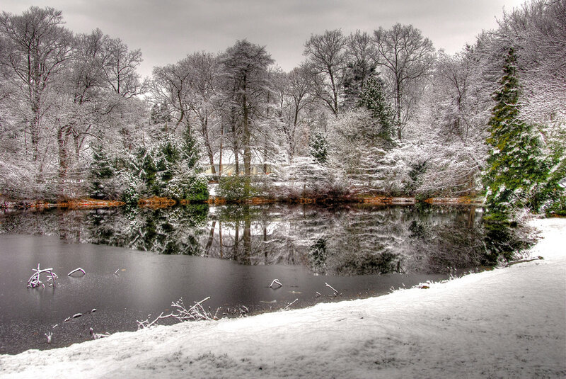Snow-covered Pond — White, Serene