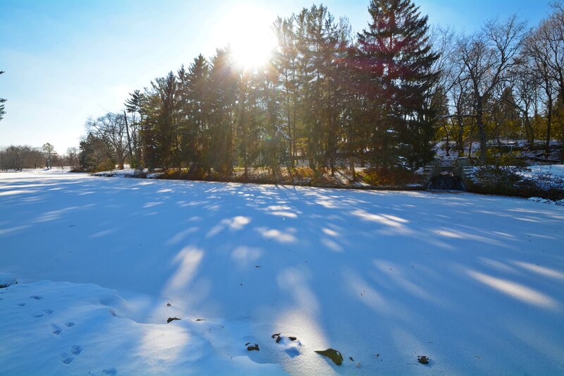 Snow-covered Pond — White, Serene, Winter, Photograph