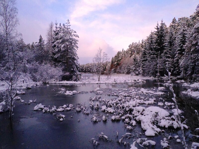 Snow-covered Pond — White, Serene, Winter, Photograph, Trees