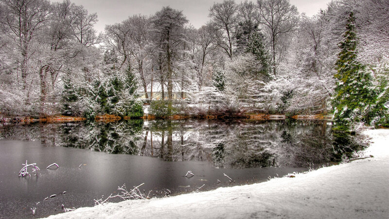 Snow-covered Pond — White, Serene, Winter