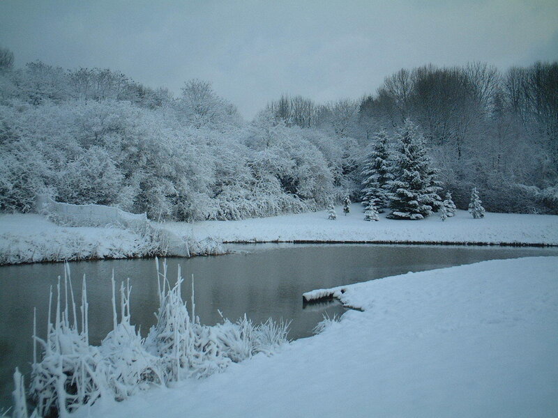 Snow-covered Pond — White