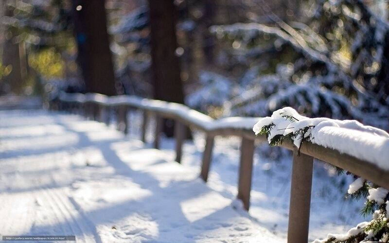 Snow-covered Railing — White, Serene