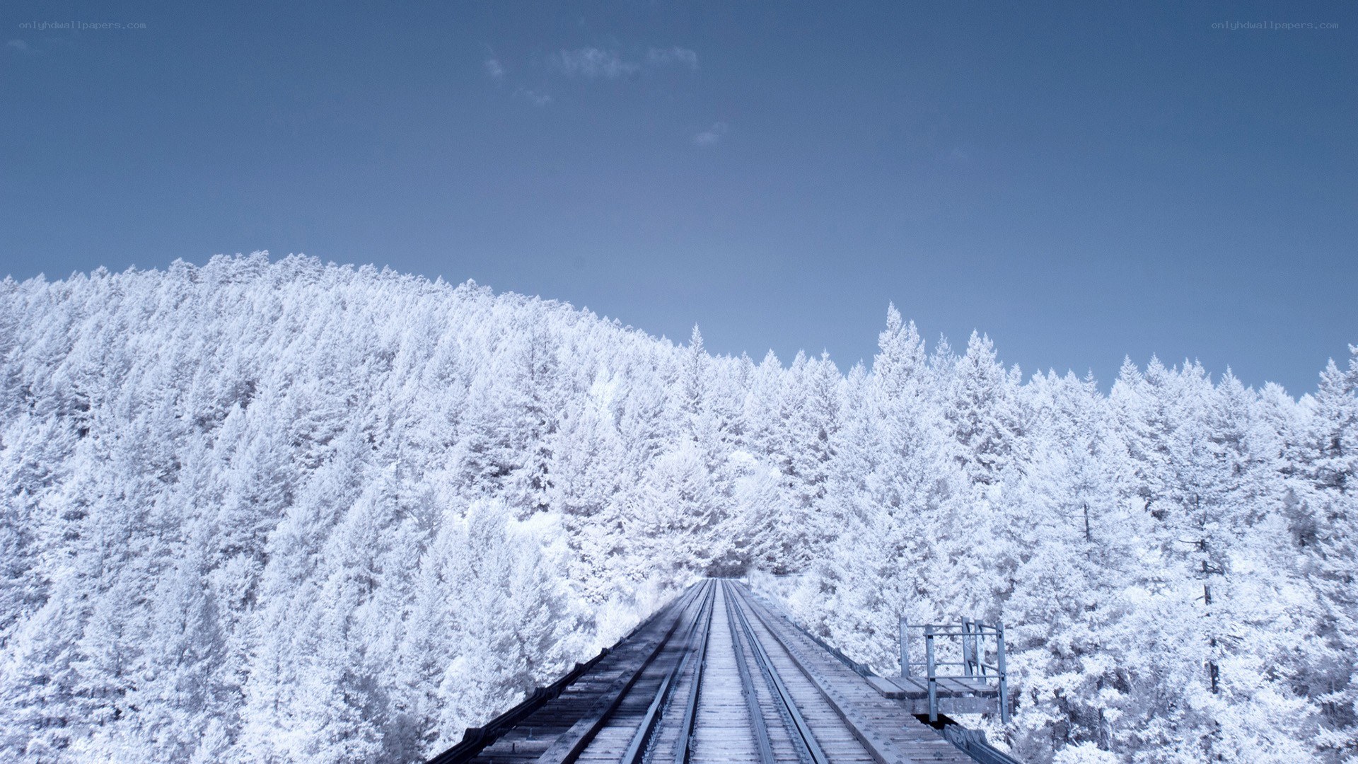 Snow-covered railway in winter