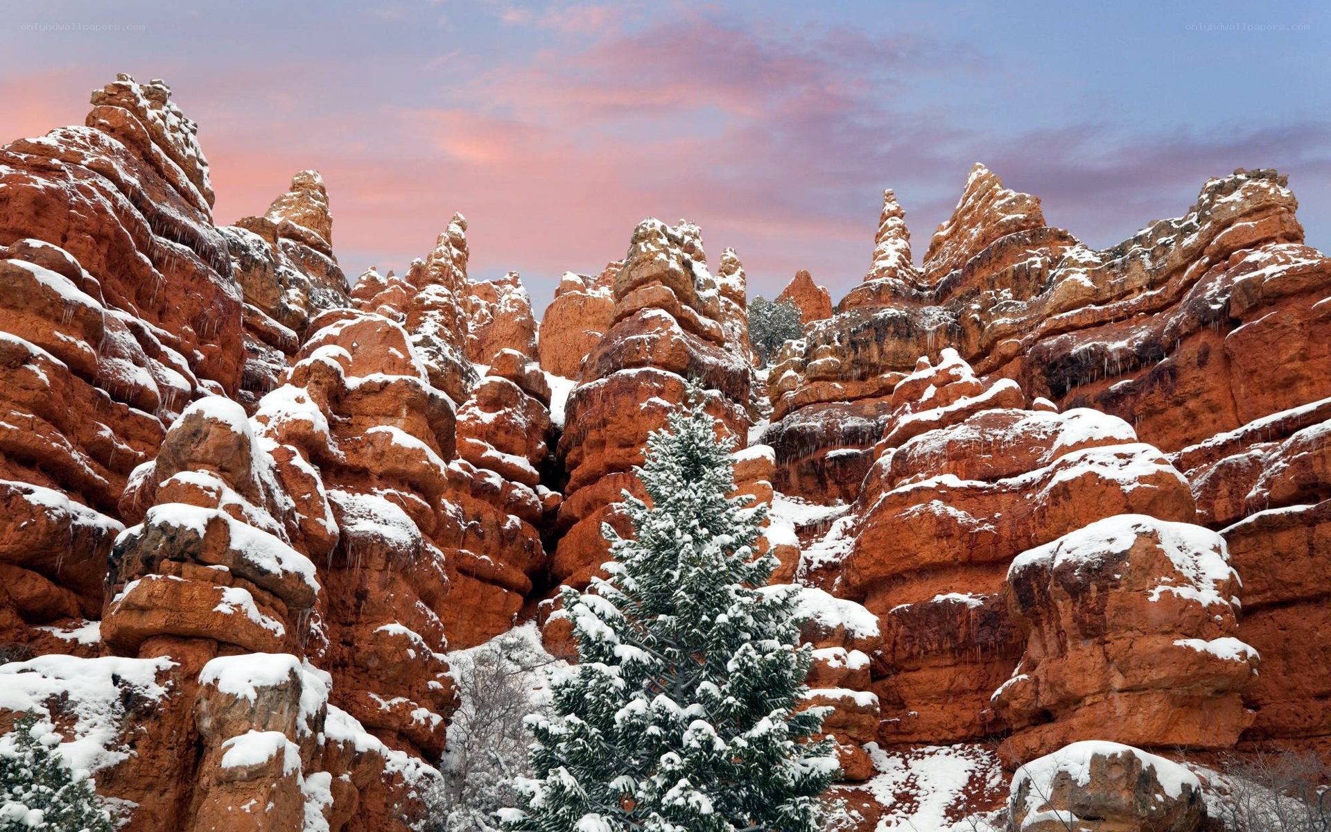 Snow-covered red rock formations