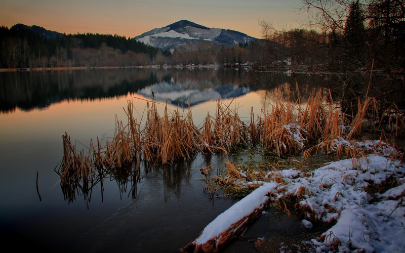 Snow-covered Reeds by Lake — Orange