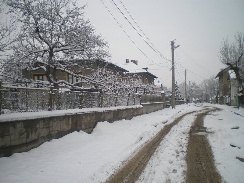 Snow-covered Residential Street — White