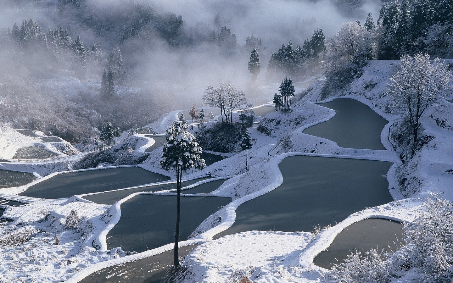 Snow-covered rice terraces in winter