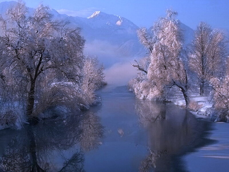 Snow-covered River and Trees