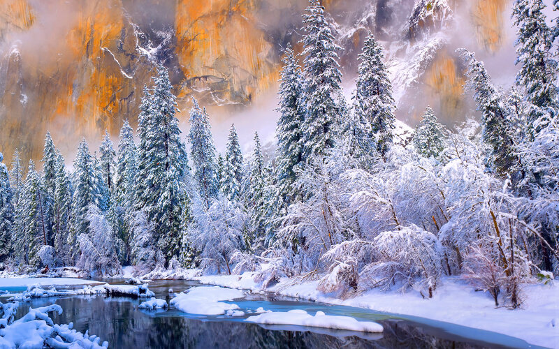 Snow-covered River and Trees — White, Serene
