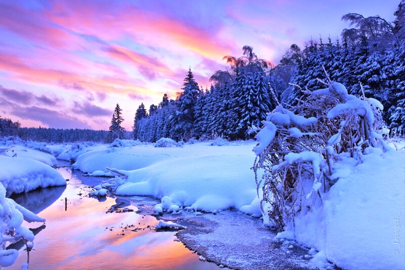 Snow-covered River at Dusk — Purple, Serene, Winter, Photograph, Trees