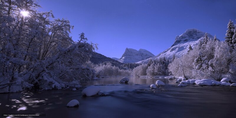 Snow-covered River at Night — Blue, Serene, Photograph, Mountains, Trees, Stars