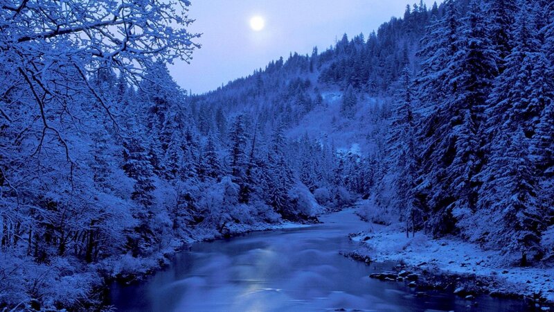 Snow-covered River at Night — Blue, Serene, Photograph, Trees