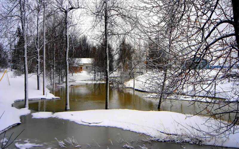 Snow-covered River Bend — White, Cold, Winter, Photograph, Trees