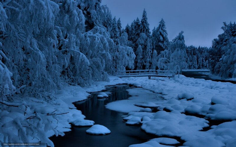Snow-covered River — Blue, Serene, Winter, Photograph, Trees, Bridge