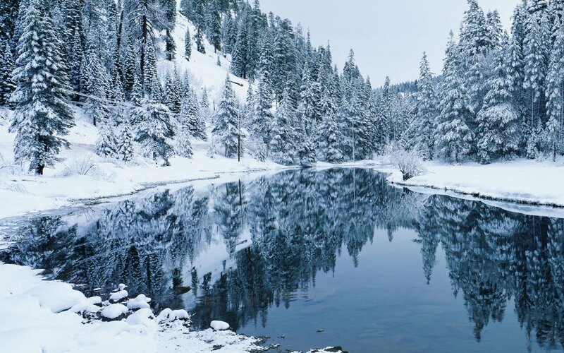 Snow-covered River — Blue, Serene, Winter, Photograph, Trees, Forest