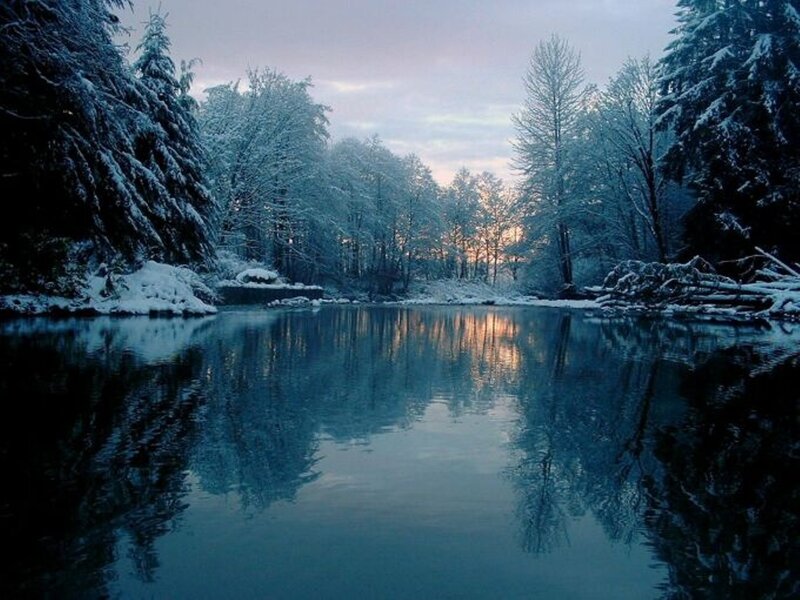 Snow-covered River — Blue, Serene, Winter, Photograph, Trees, Sky