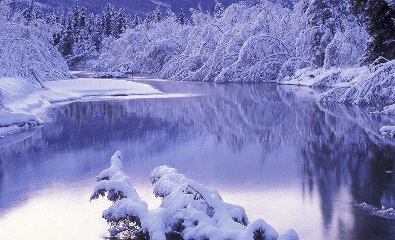 Snow-covered River — Blue, Serene, Winter, Photograph, Trees