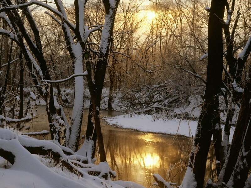 Snow-covered River — Gold, Serene