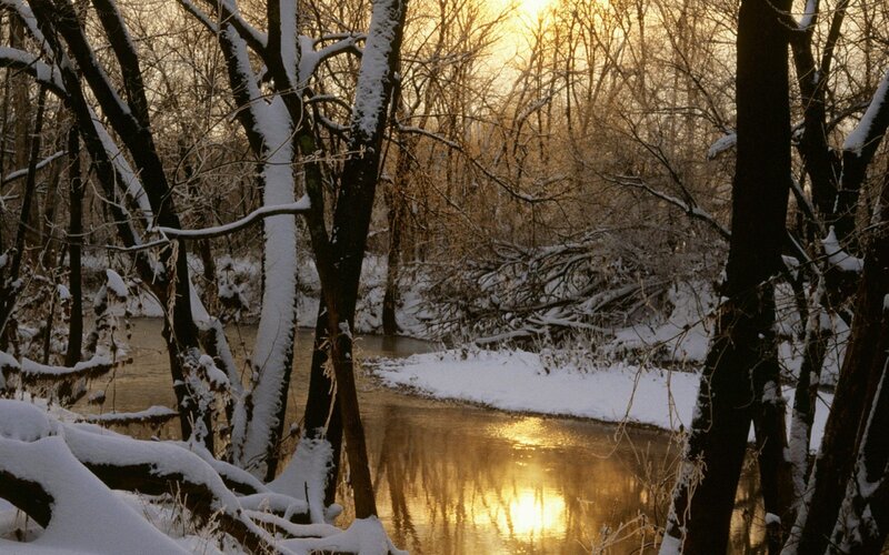 Snow-covered River — Gold