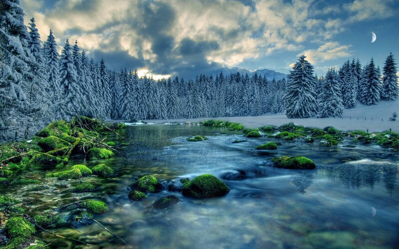 Snow-covered River — Green, Serene, Winter