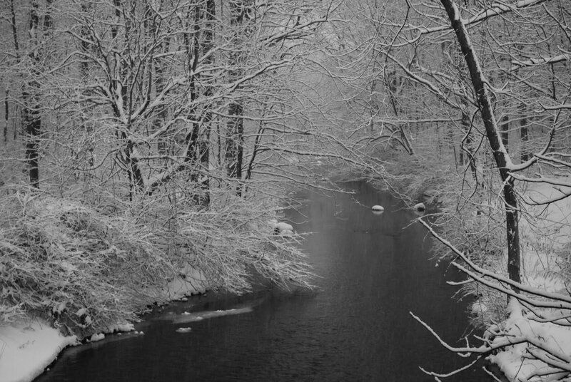 Snow-covered River in Forest — Black