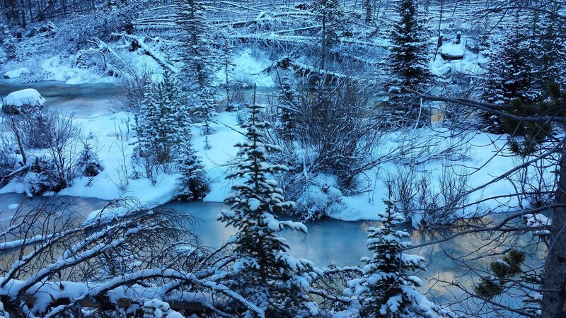 Snow-covered River in Forest — Blue, Cold
