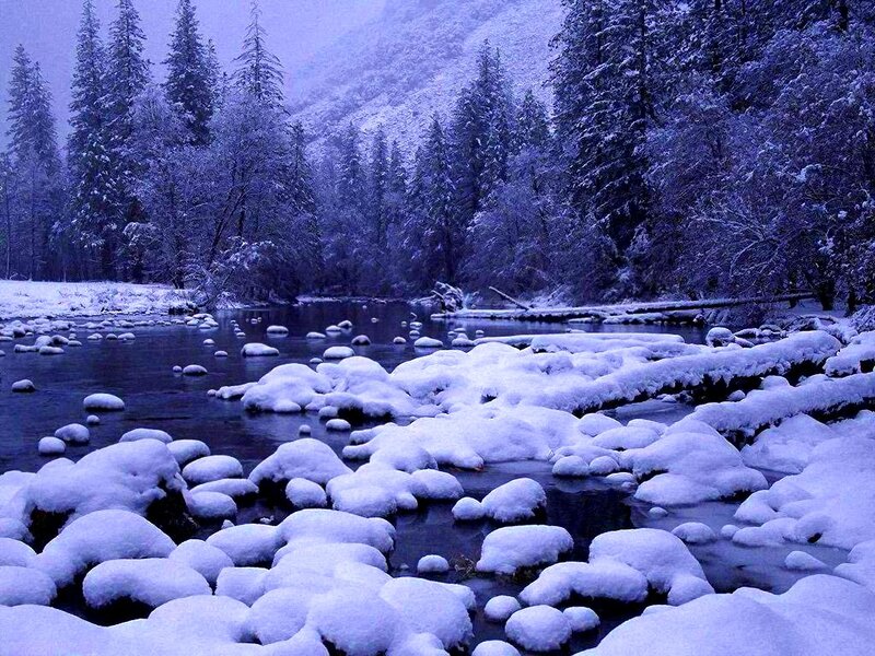 Snow-covered River in Forest — Blue, Serene