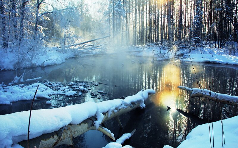 Snow-covered River in Forest — Blue, Serene, Winter, Photograph