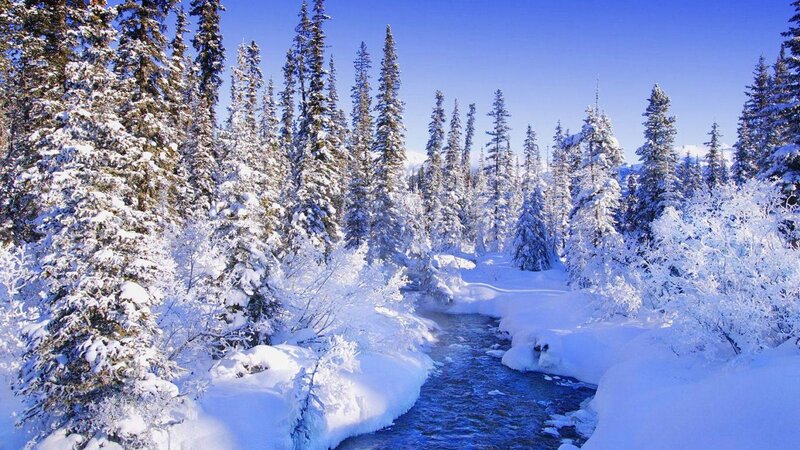 Snow-covered River in Forest — Blue, Serene, Winter, Photograph, Trees, Snow, Sky
