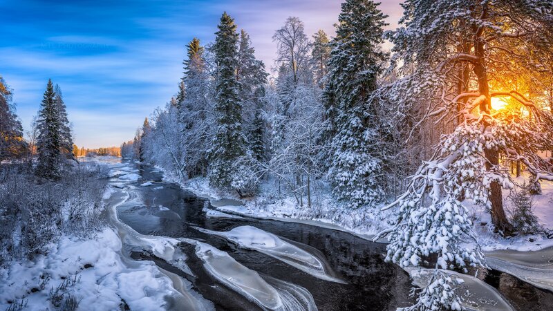 Snow-covered River in Forest — Blue, Serene, Winter, Photograph, Trees, Snow, Sun
